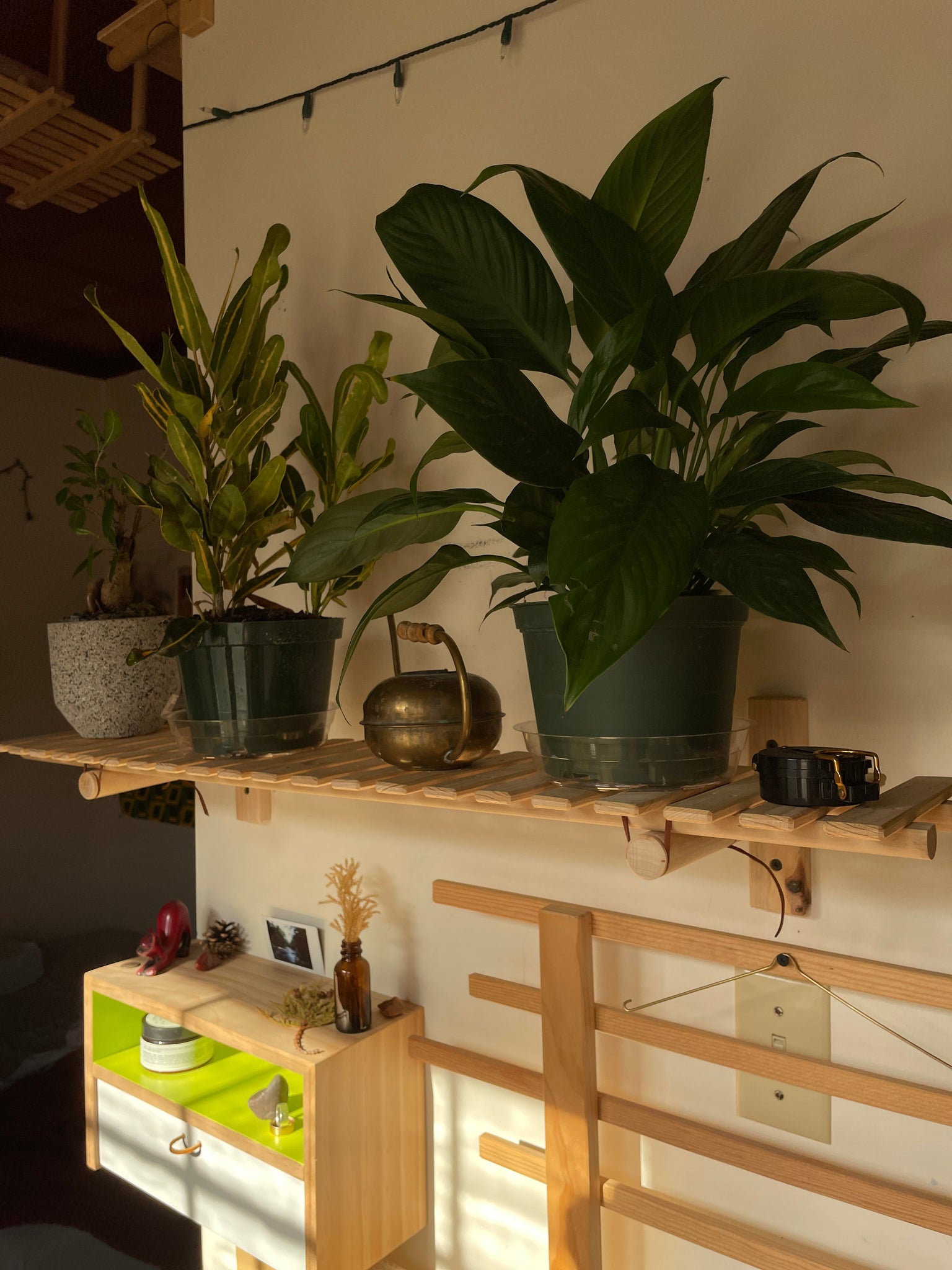 Plant Shelves - ModCatShop