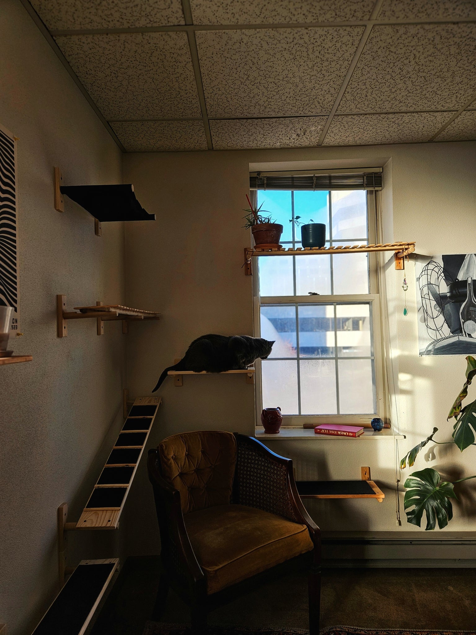 Modcat Set