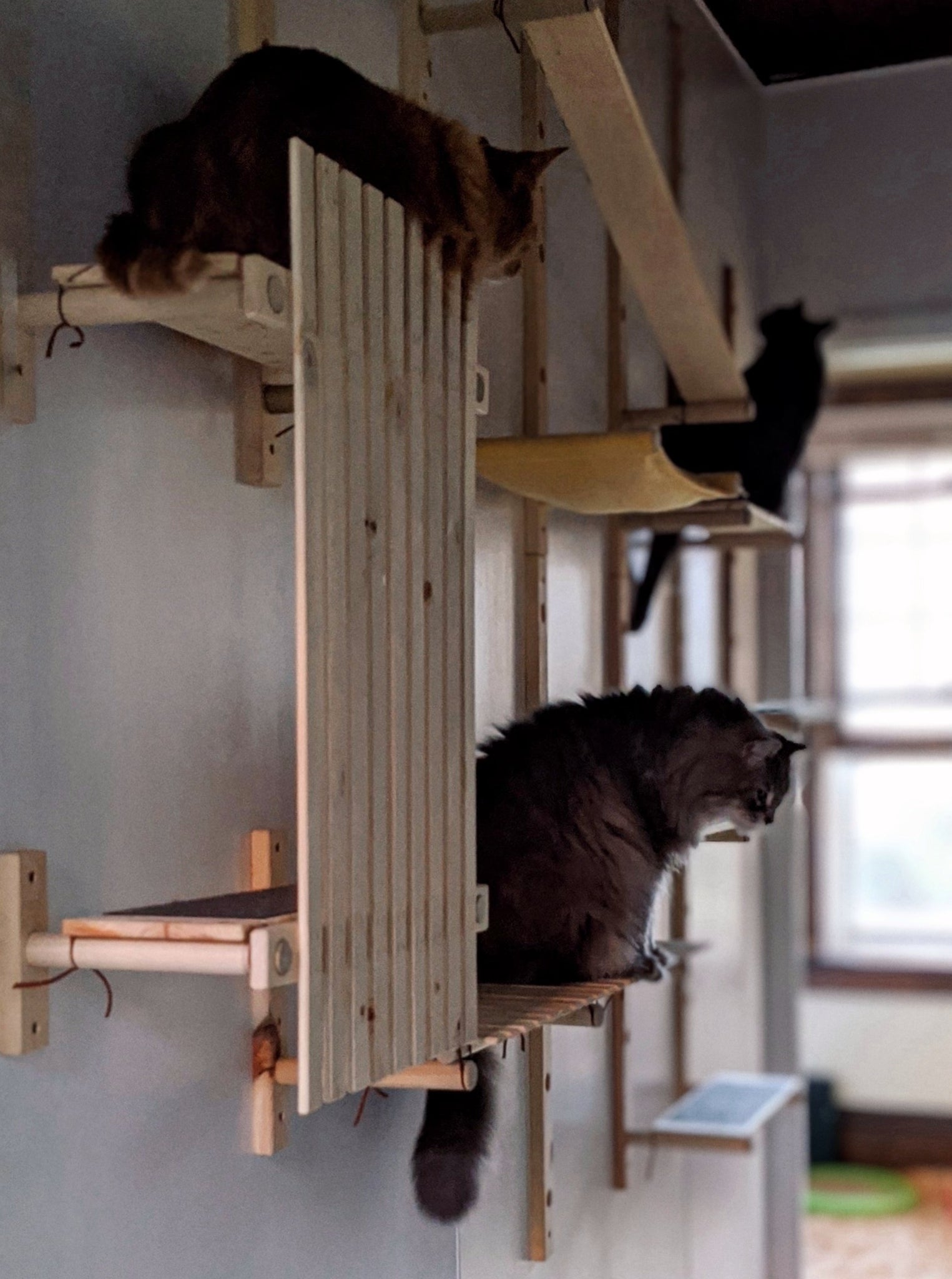 Modular Cat House - ModCatShop