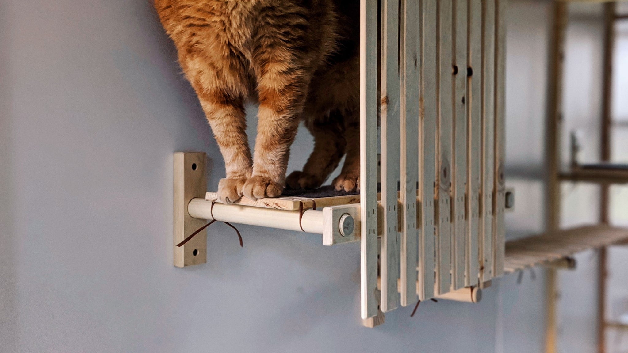 Modular Cat House - ModCatShop