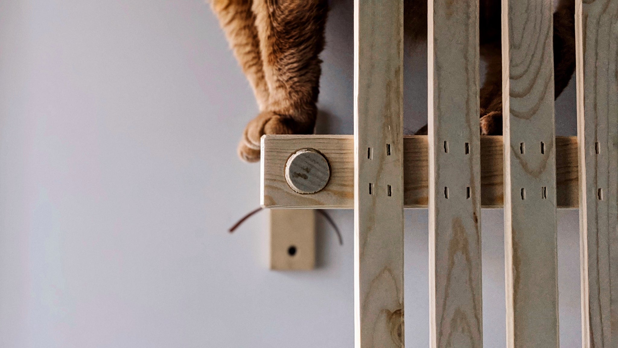 Modular Cat House - ModCatShop