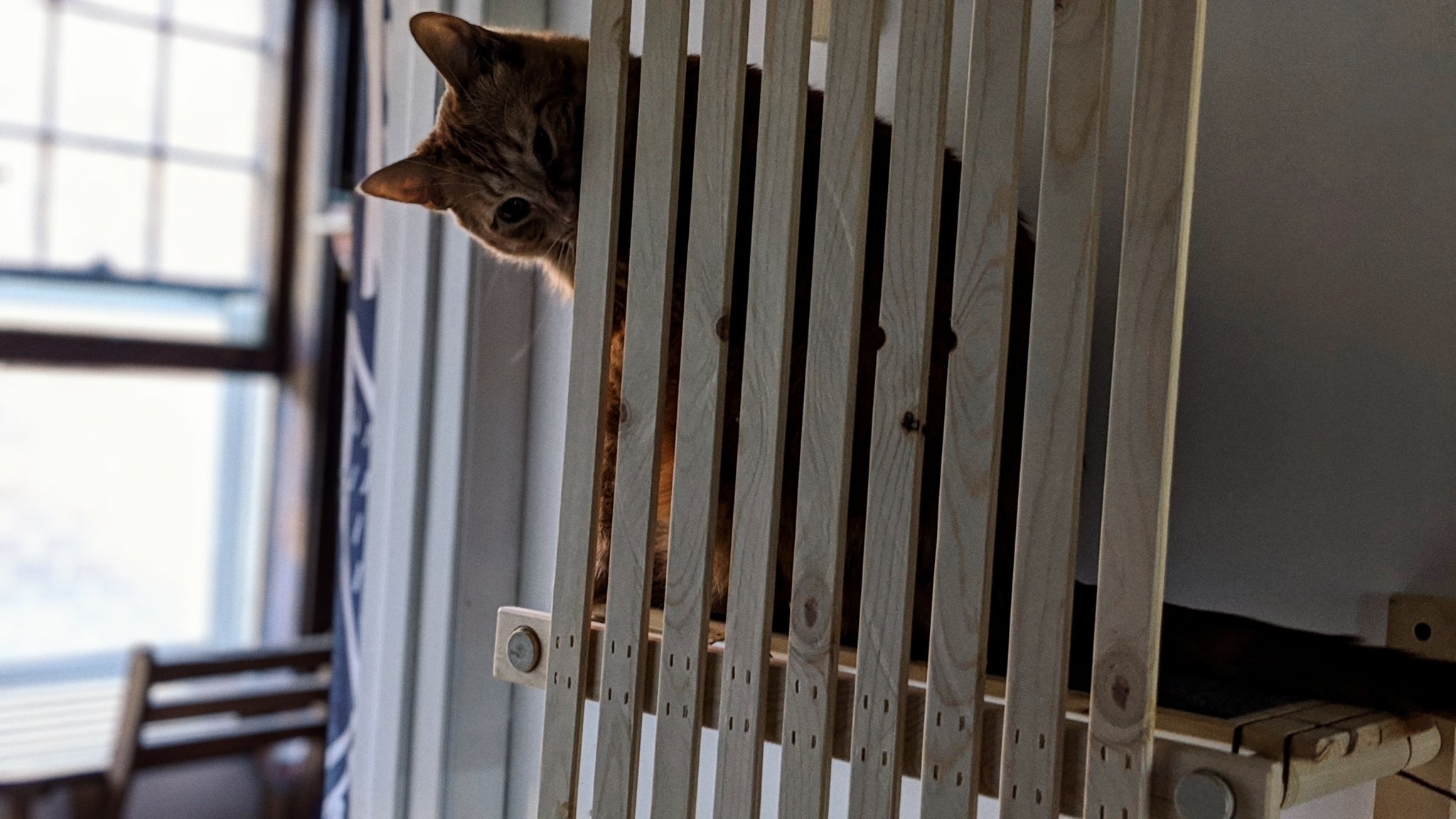 Modular Cat House - ModCatShop