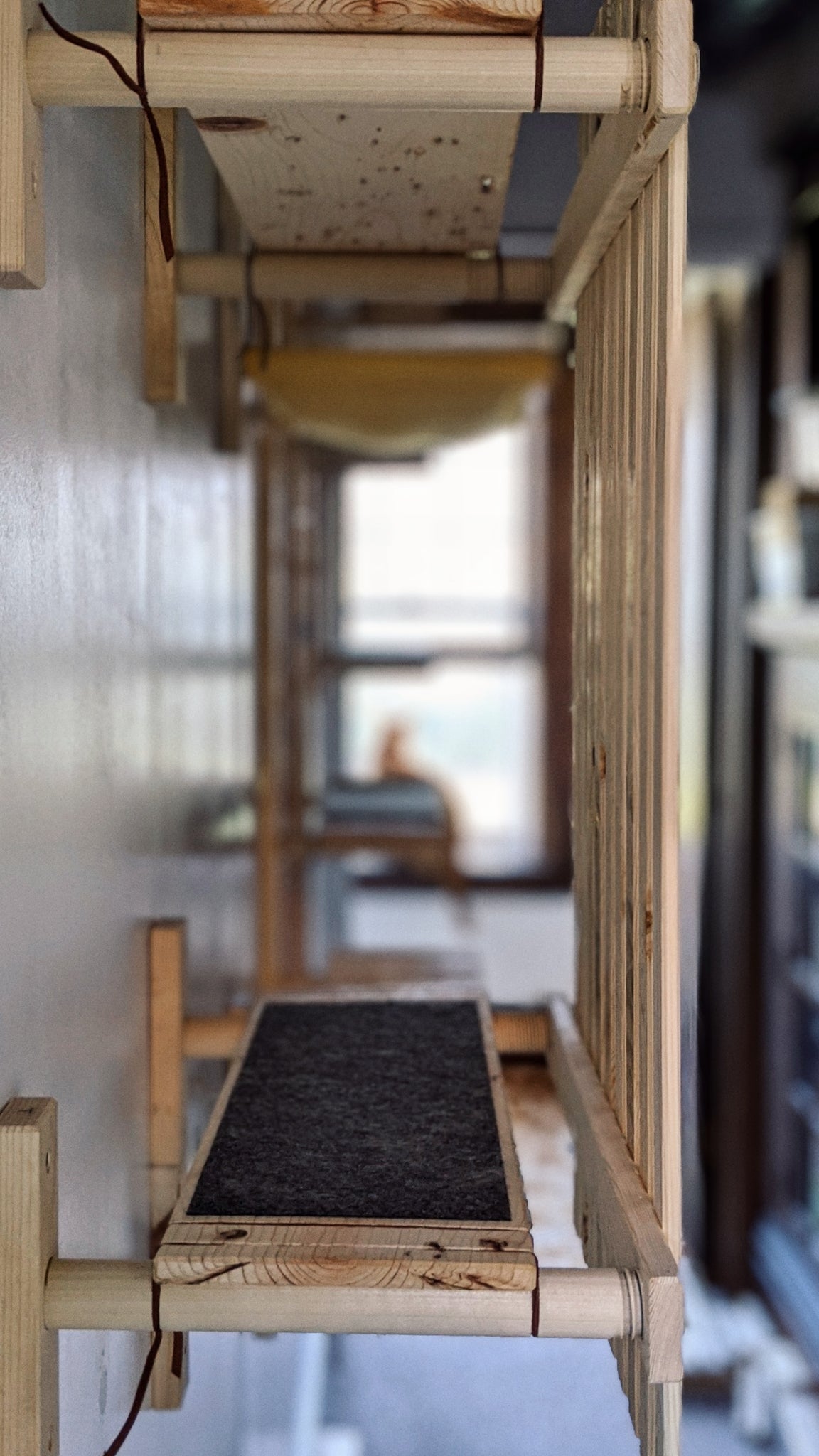 Modular Cat House - ModCatShop