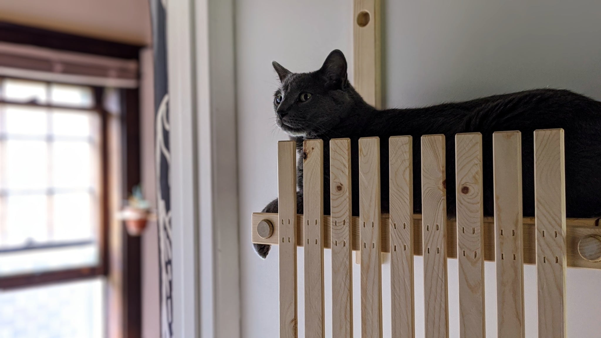 Modular Cat House - ModCatShop