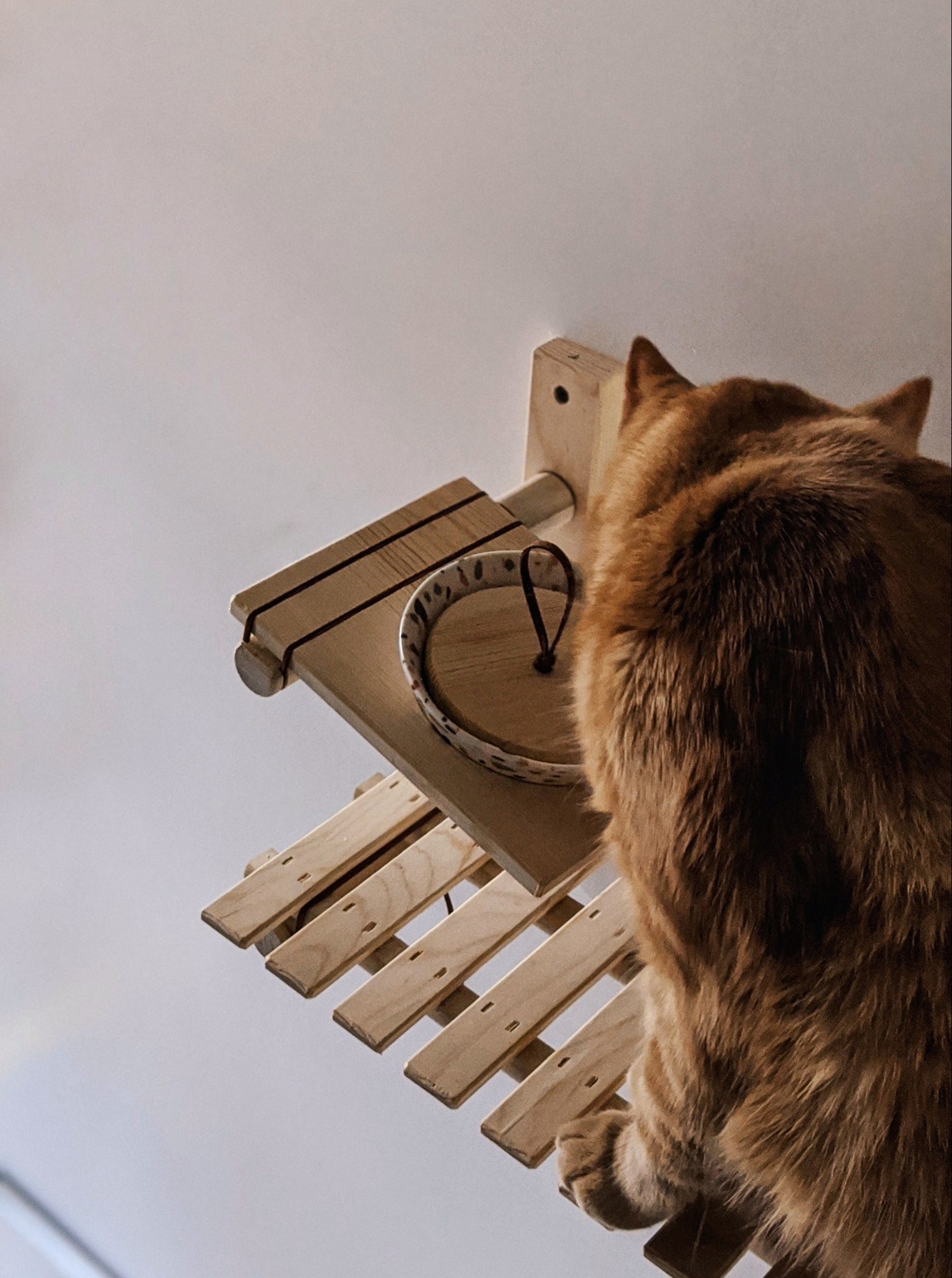 Modular Cat Feeder - ModCatShop
