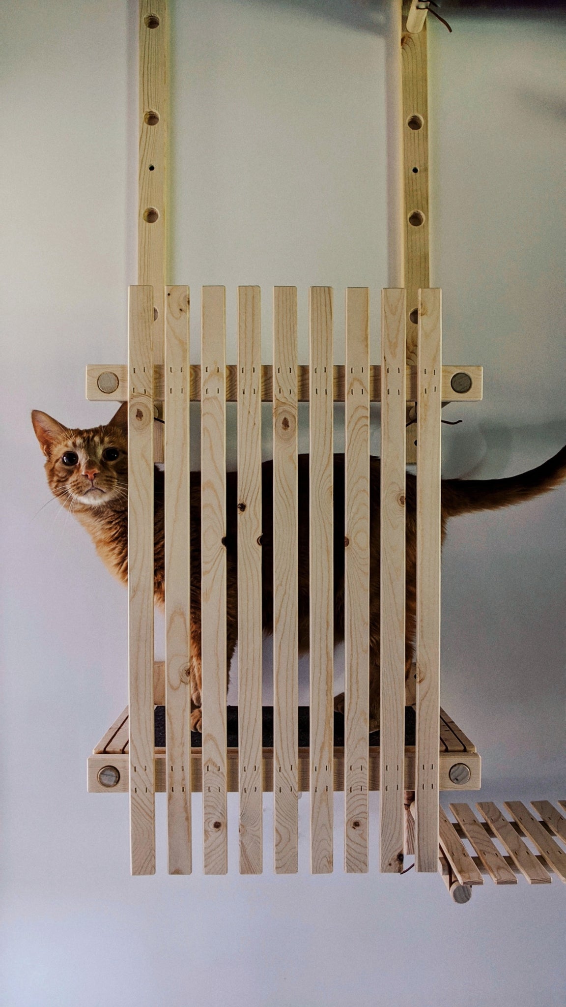 Modular Cat House - ModCatShop