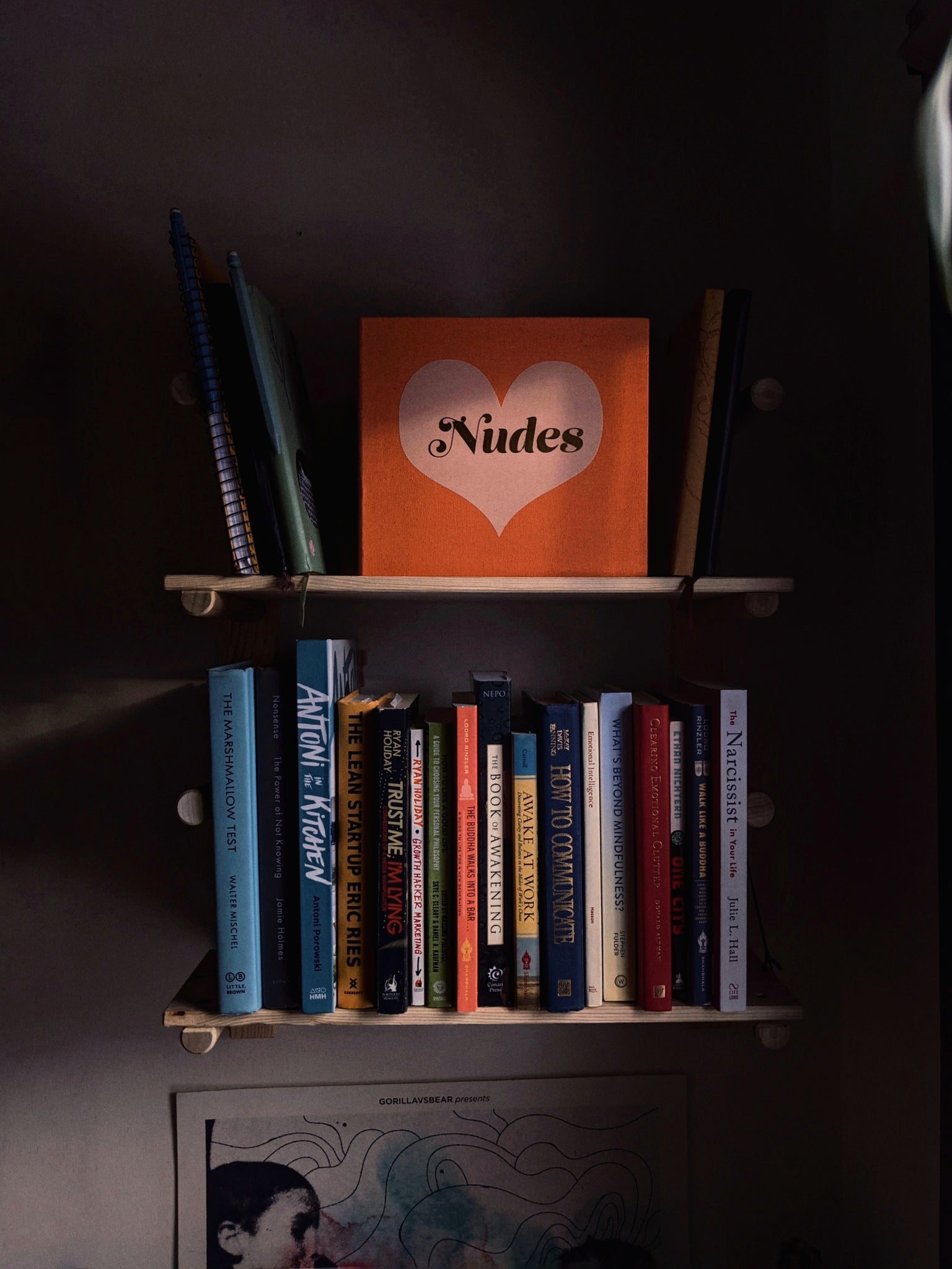 Modular Bookcase - ModCatShop