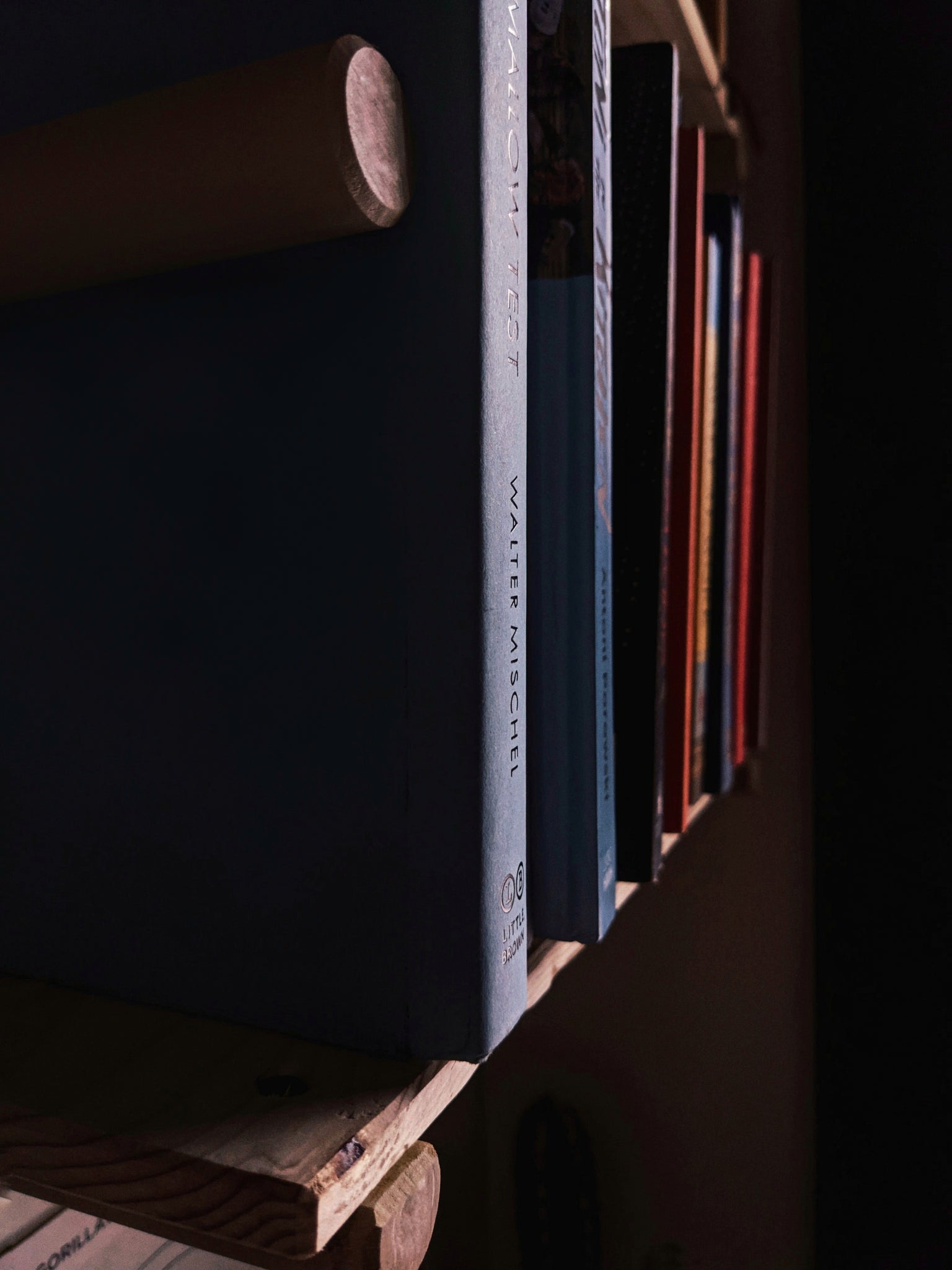 Modular Bookcase - ModCatShop