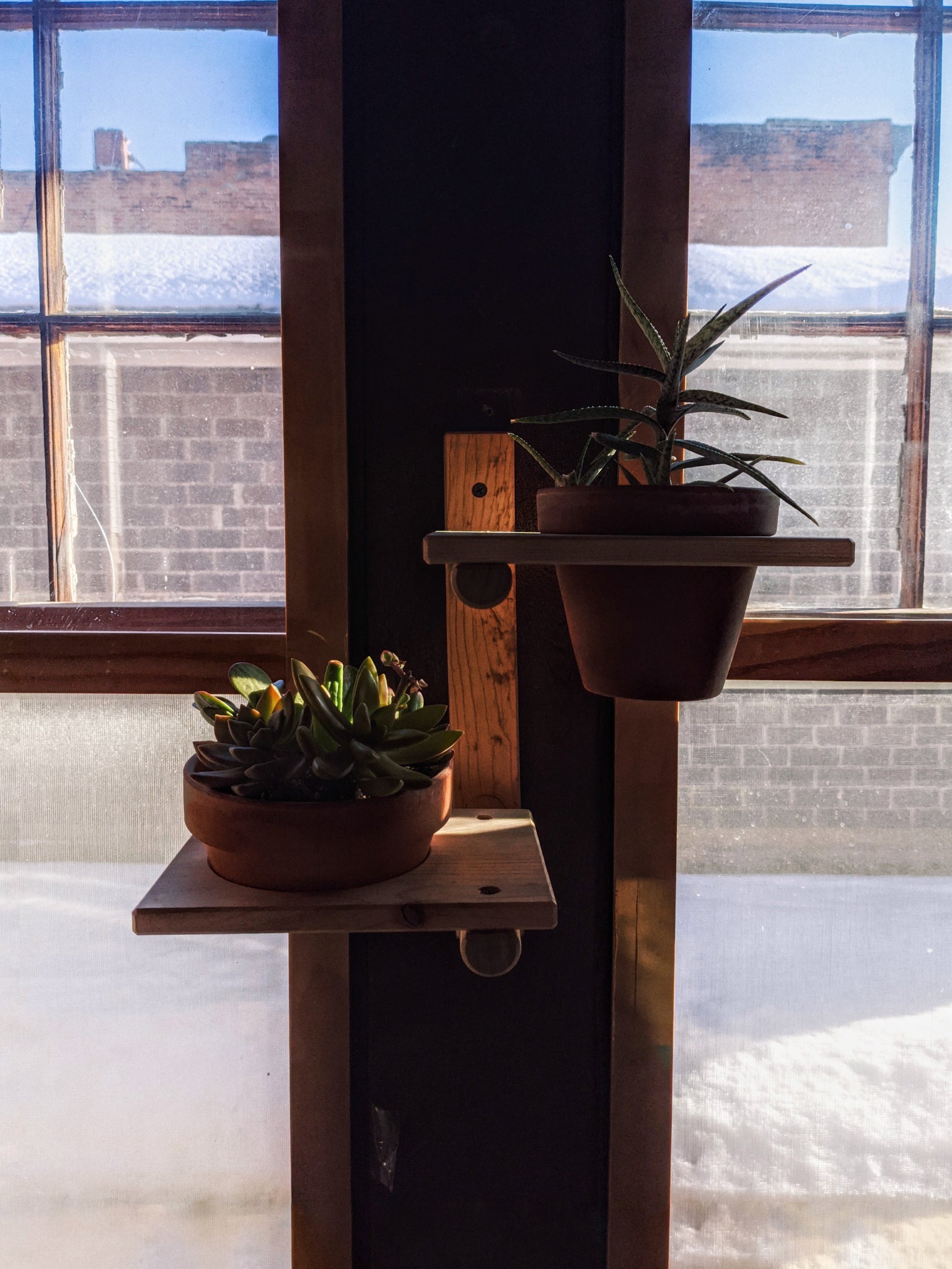 Modular Plant Shelf - ModCatShop
