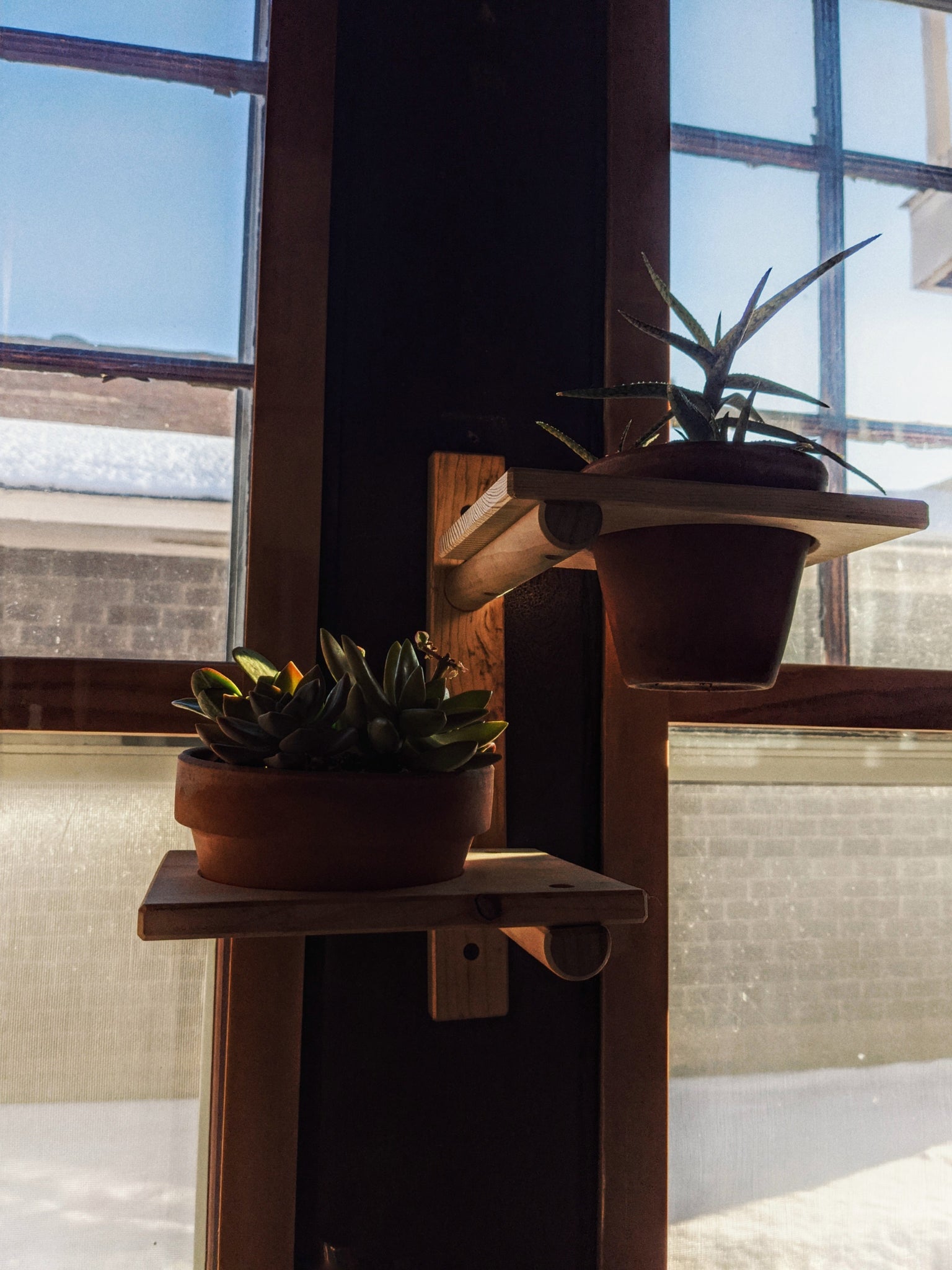Modular Plant Shelf - ModCatShop