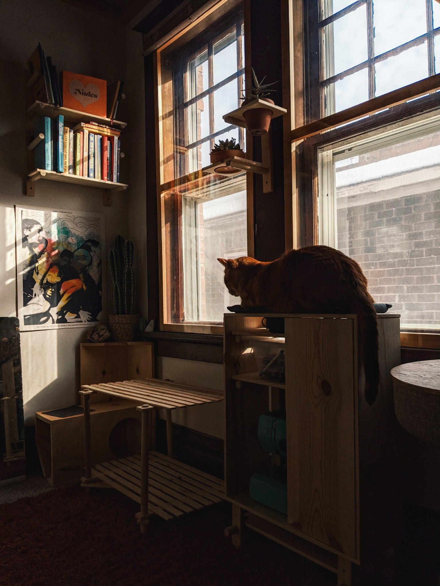 Modular Cabinet Standing - ModCatShop