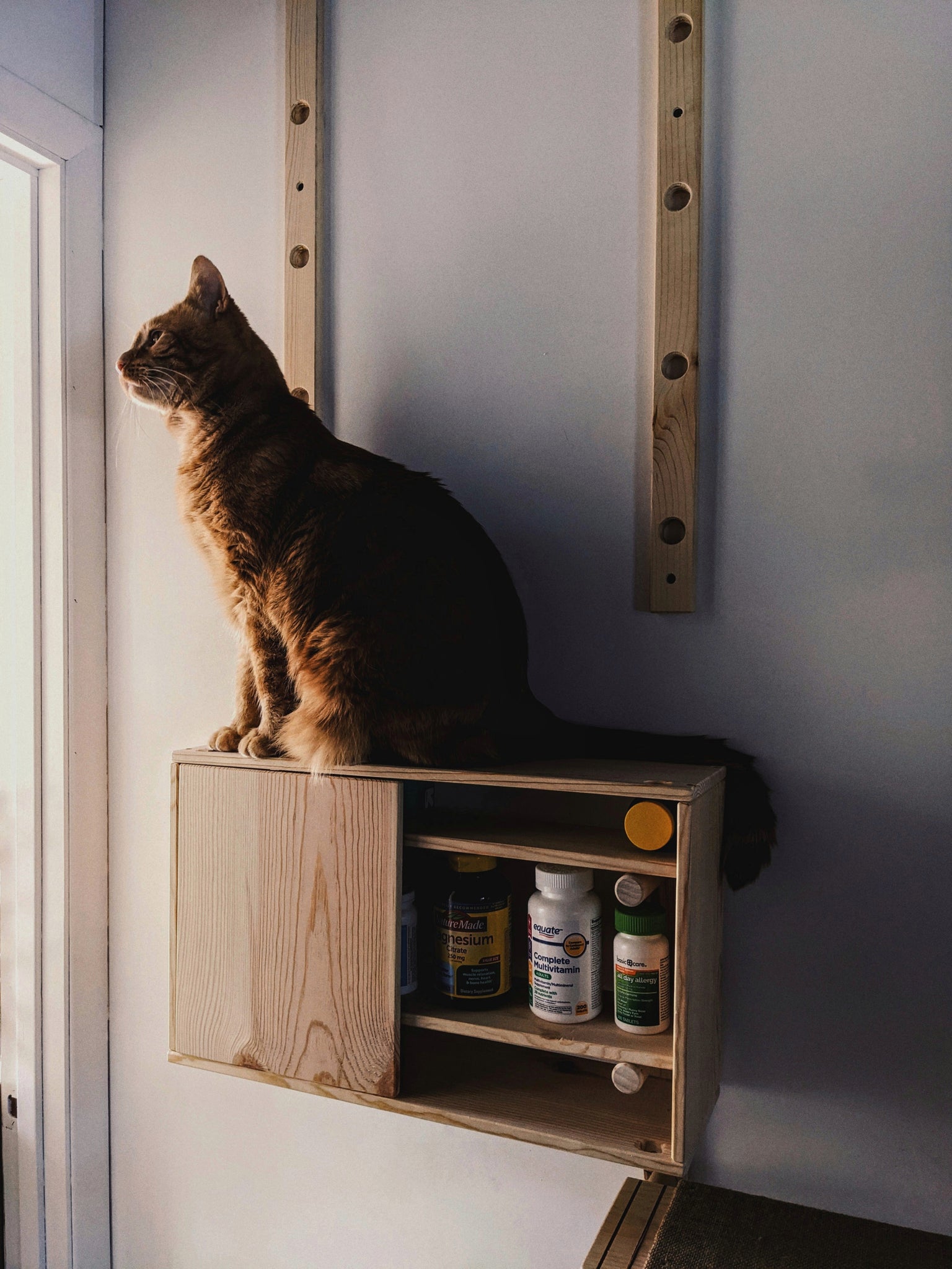 Modular Cabinet 12" - ModCatShop