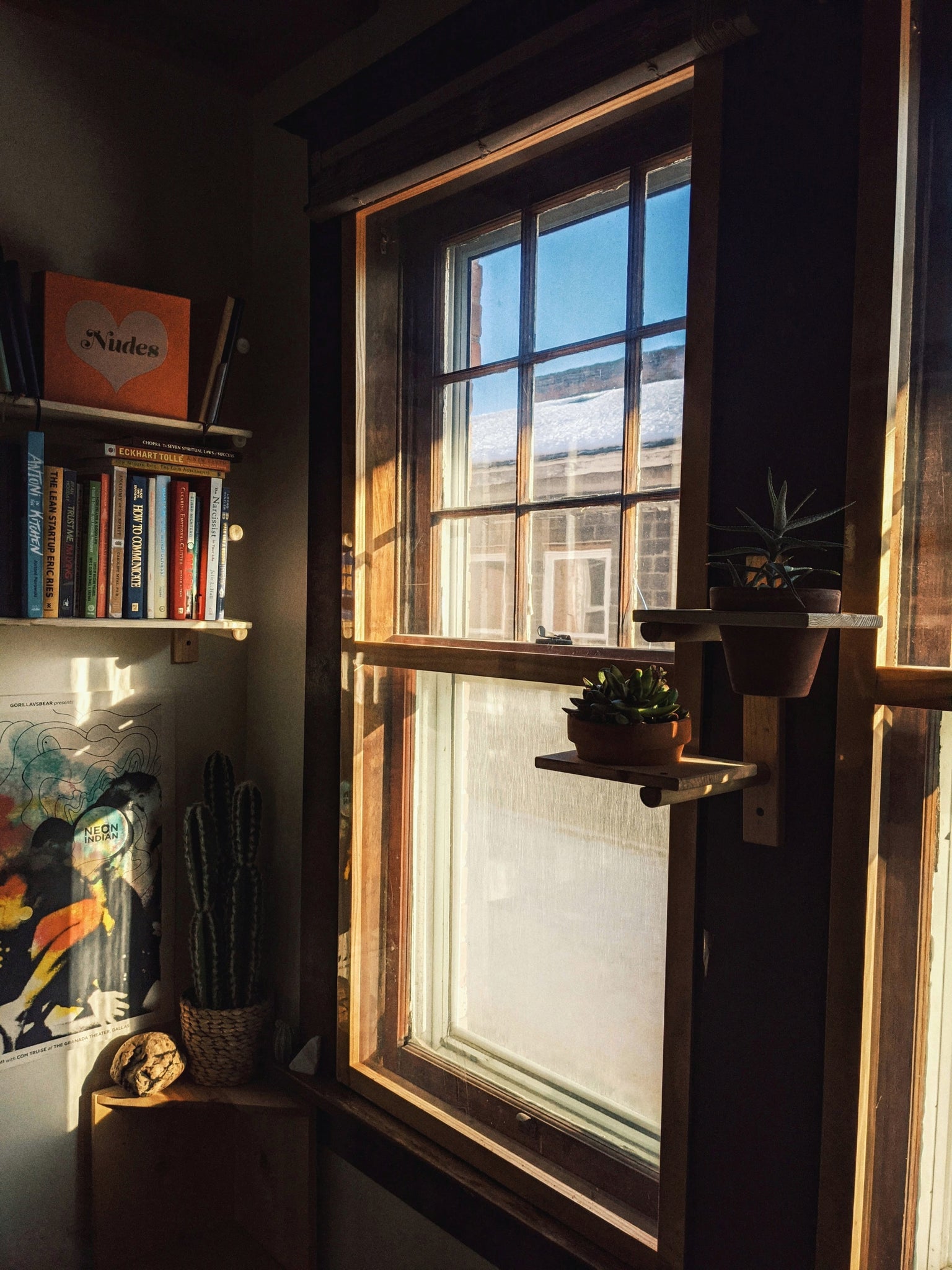 Modular Plant Shelf - ModCatShop