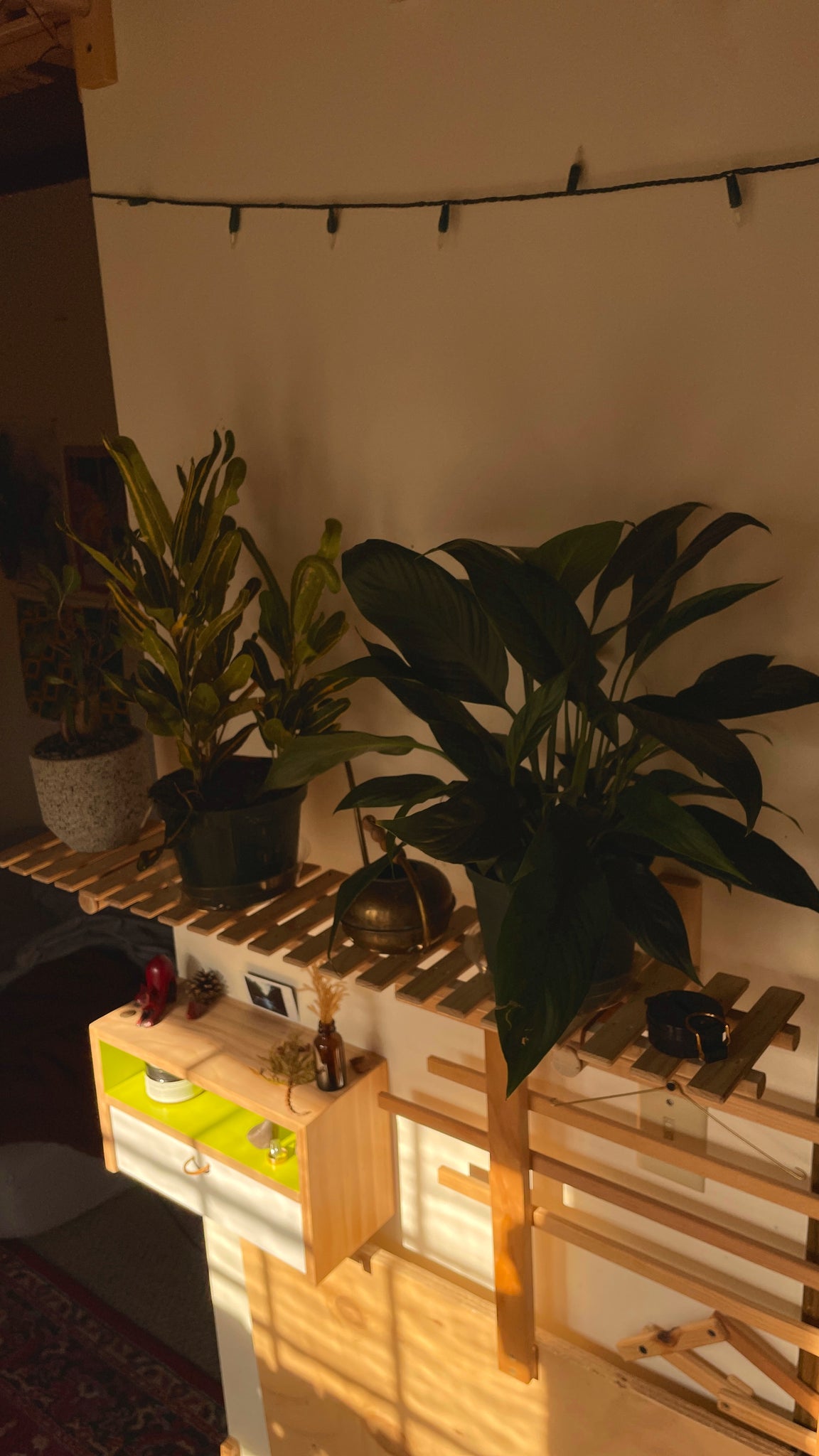 Modular Plant Bridge - ModCatShop