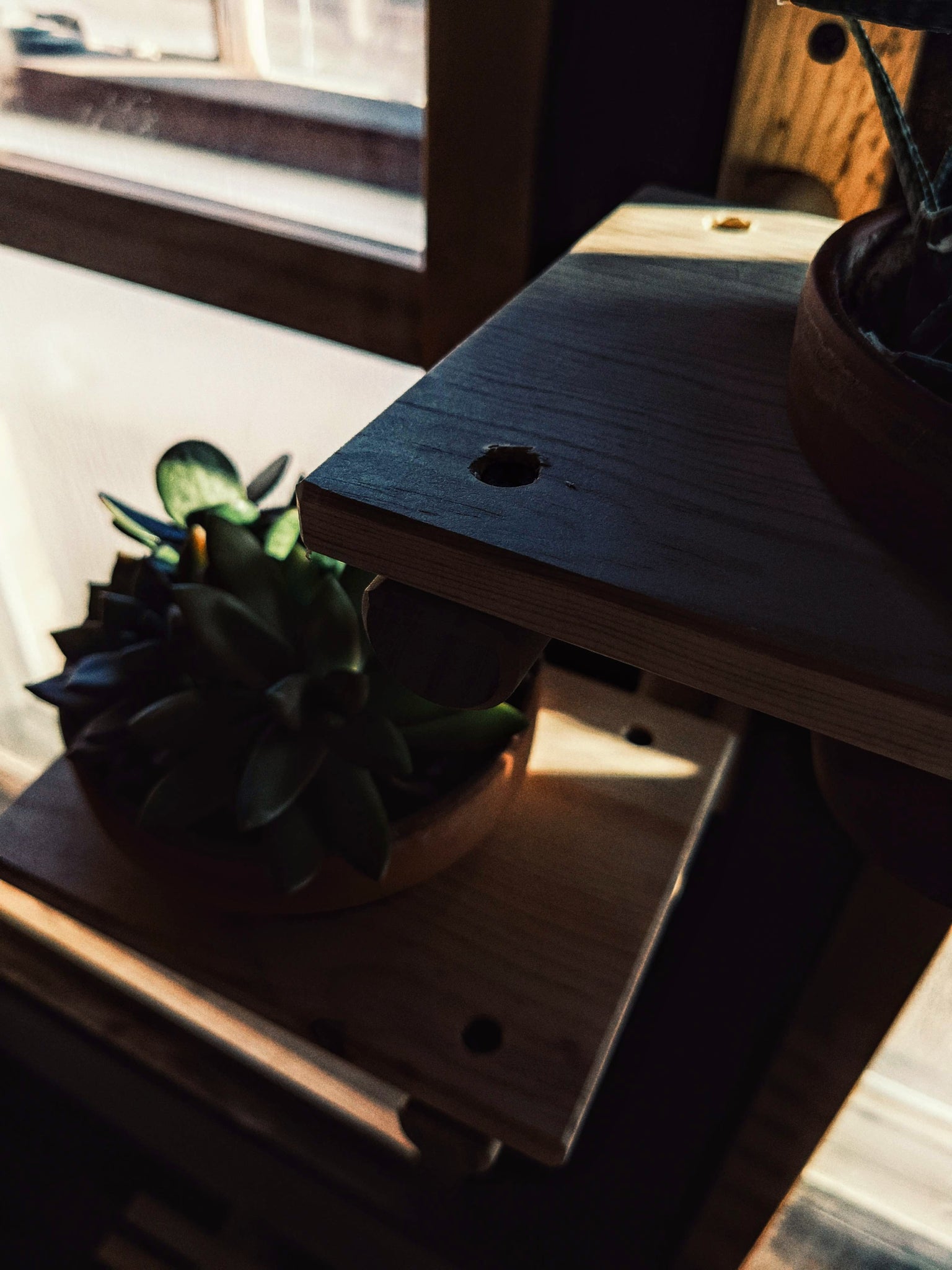 Modular Plant Shelf - ModCatShop