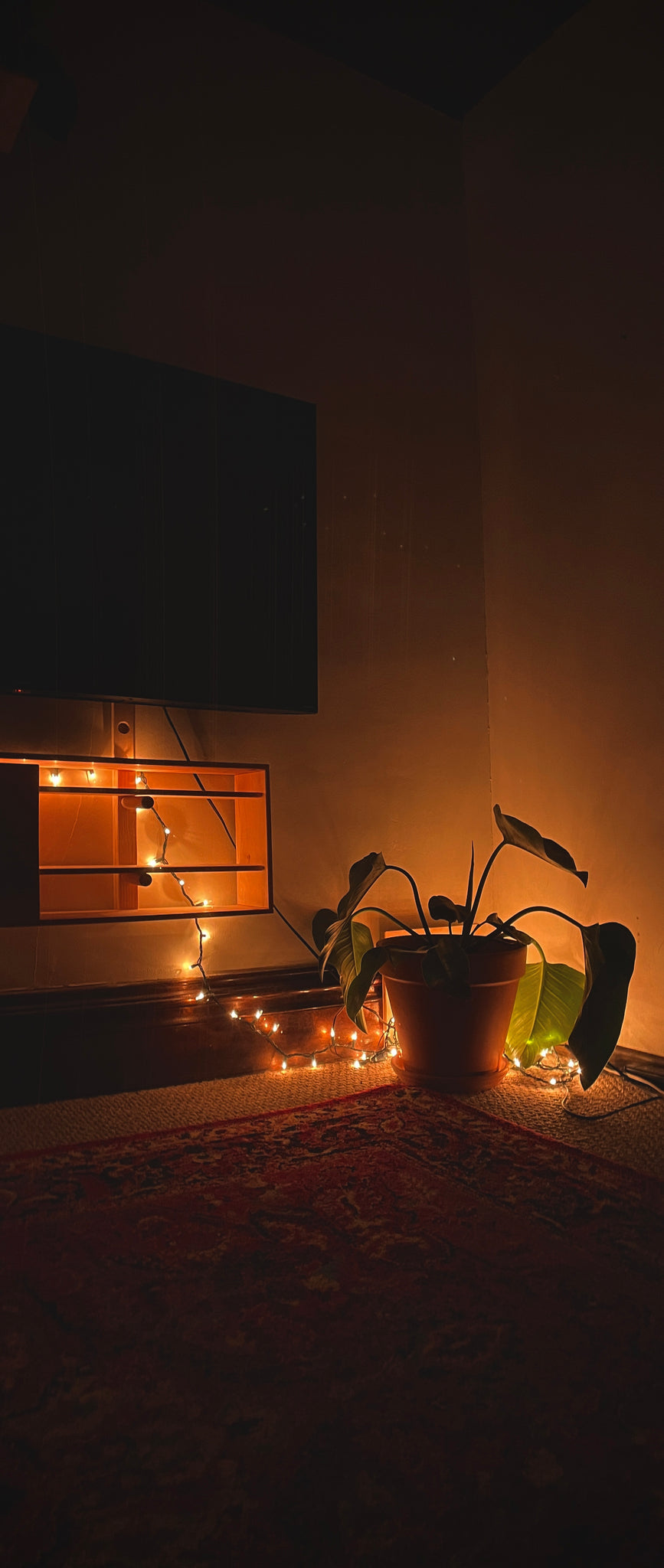 Modular Cabinet Wide - ModCatShop