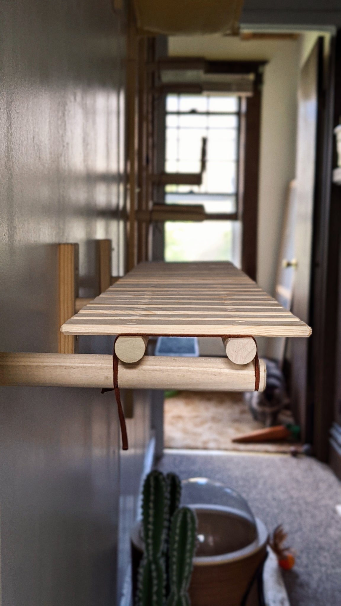 Modular Plant Bridge - ModCatShop