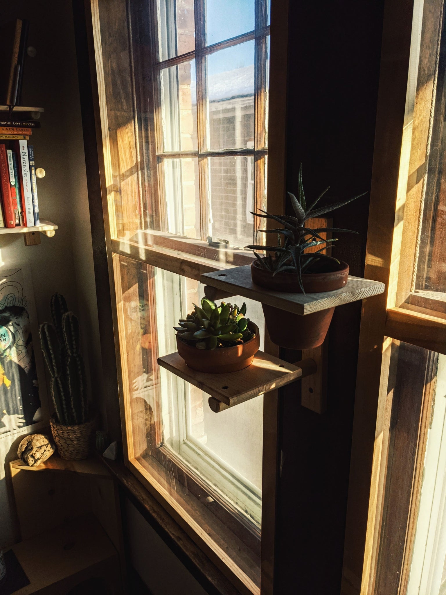 Modular Plant Shelf - ModCatShop